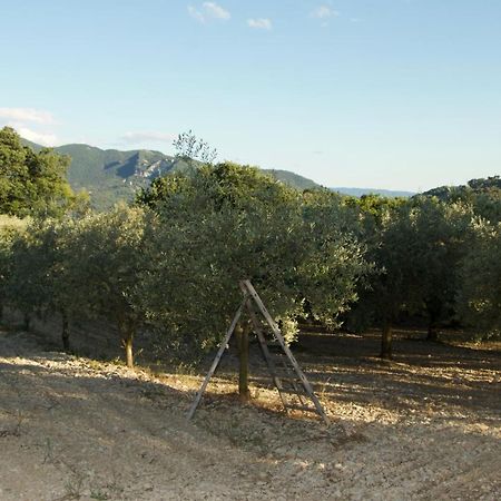 Mas Provencal La Serallere Au Coeur Des Oliviers Venterol  Kültér fotó