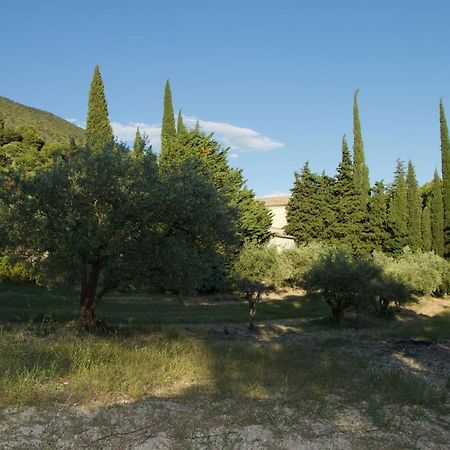 Mas Provencal La Serallere Au Coeur Des Oliviers Venterol  Kültér fotó