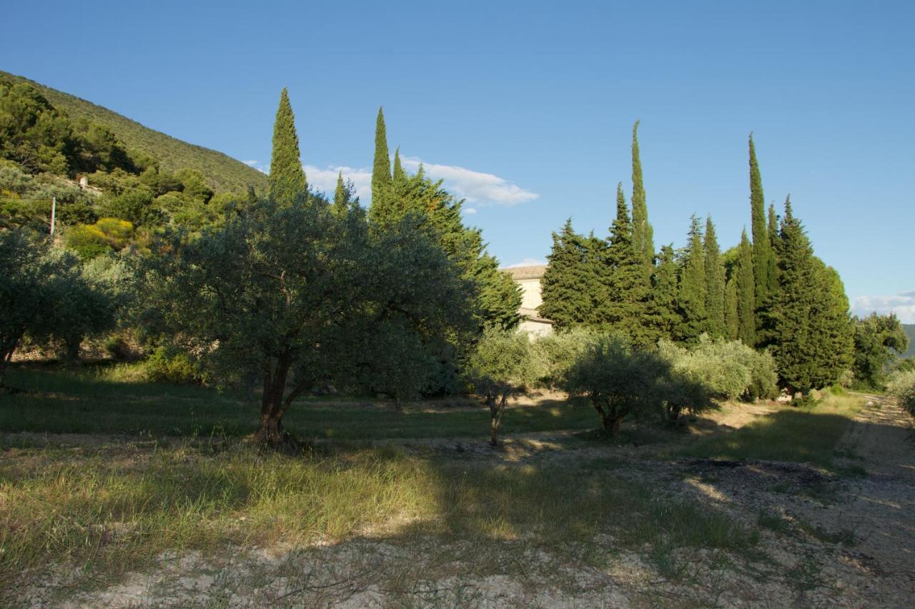 Mas Provencal La Serallere Au Coeur Des Oliviers Venterol  Kültér fotó